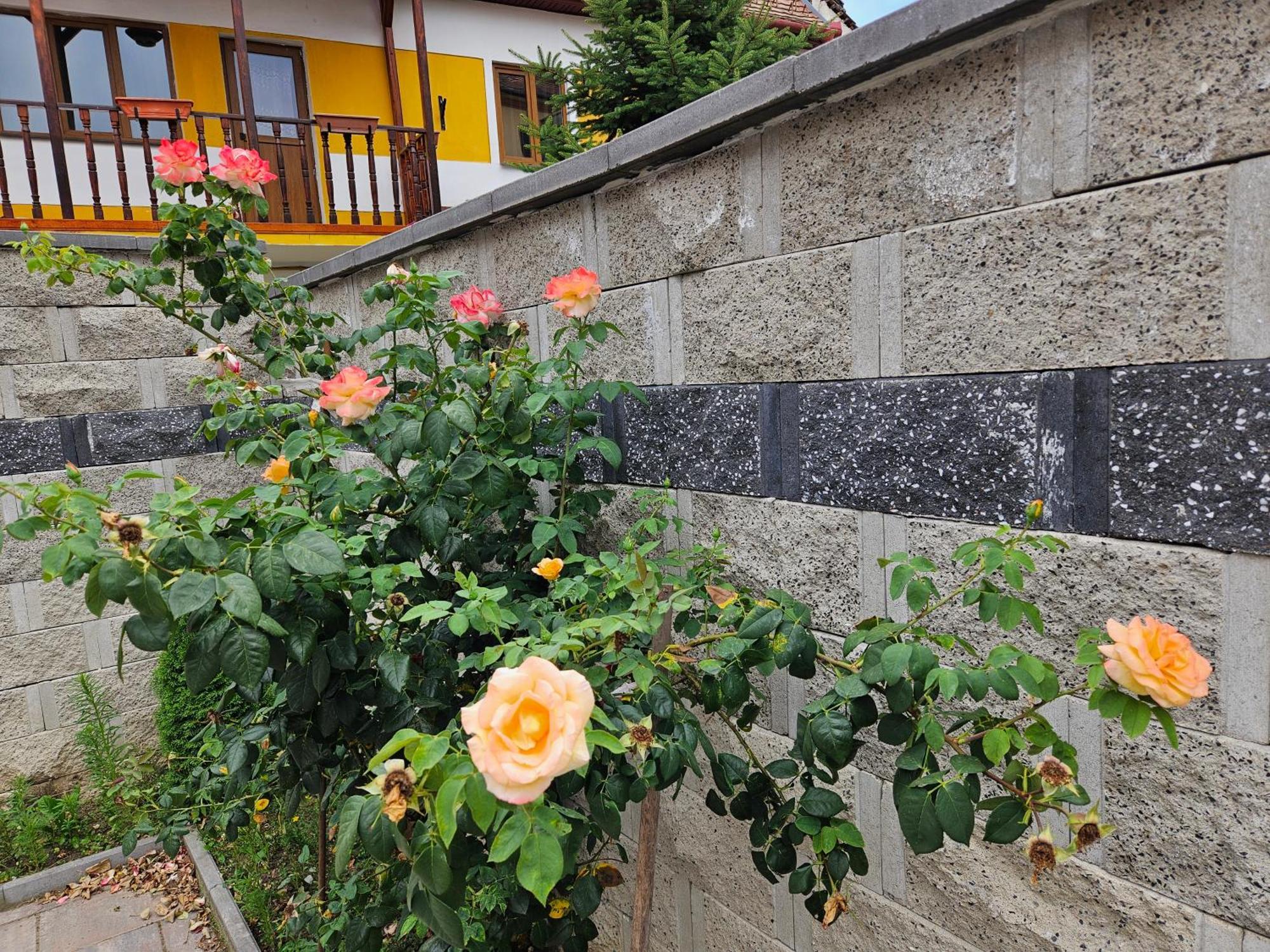 Aparthotel Casa Raduly Sibiu Exteriér fotografie
